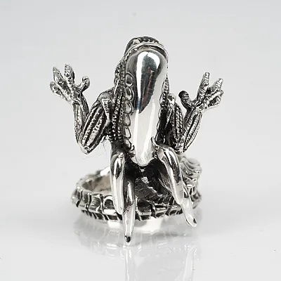 Inel corp alien reglabil Argint - 1