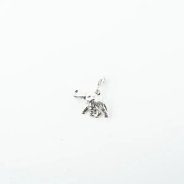 Pandantiv-accesoriu bratara elefant Argint